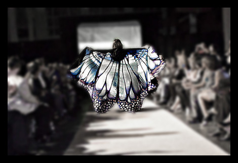 Academy runway