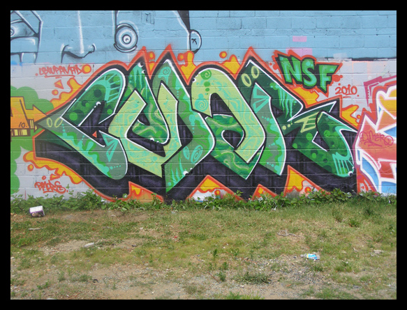 Photo by Ceda