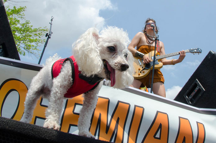 Sowebohemian_2012_What_Weekly_LC_19