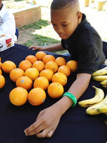 GSA - Energy Exchange - Boy with fruit
