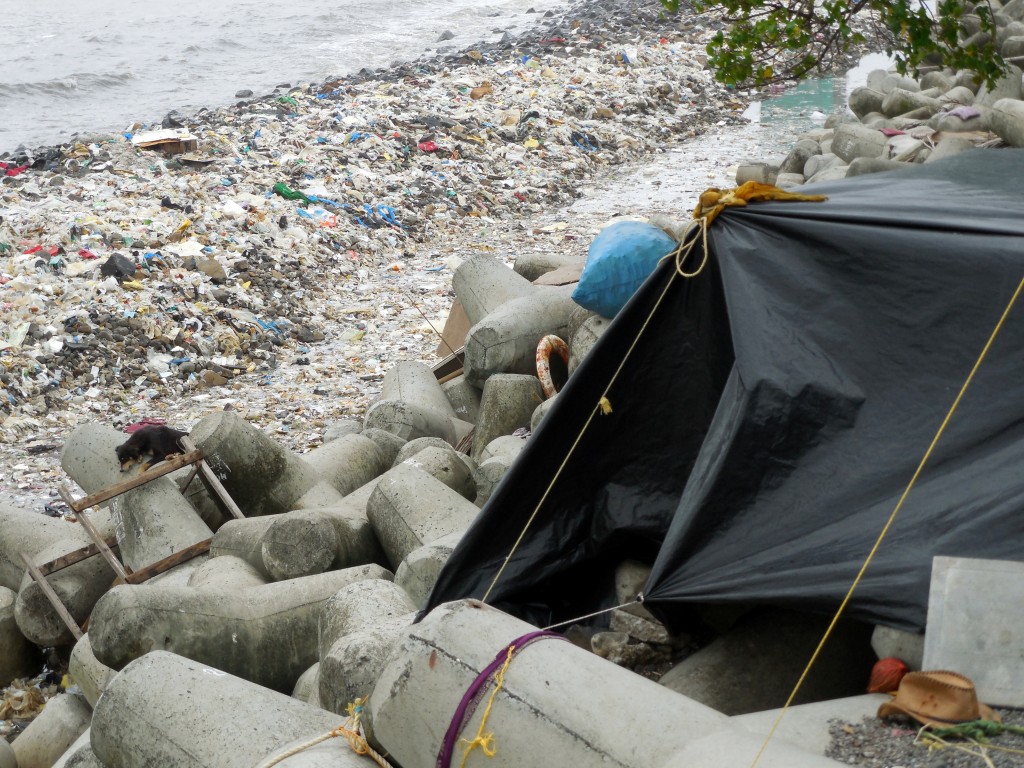 garbagebeach4